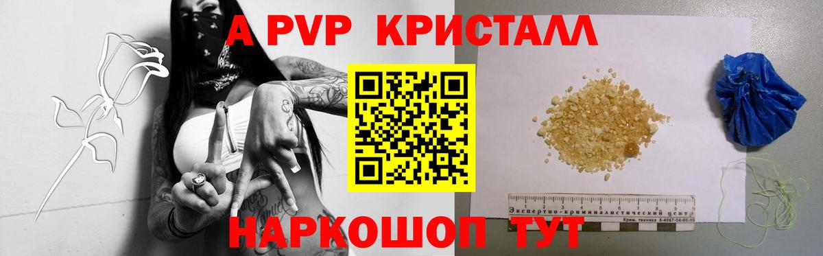 Надым  Alfa_PVP СК КРИС  Альфа ПВП СК КРИС  Вход с VPN 