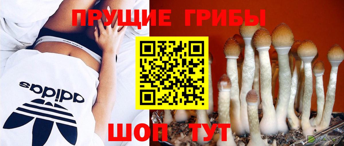 Псилоцибиновые грибы прущие грибы  Вход с VPN  Надым 